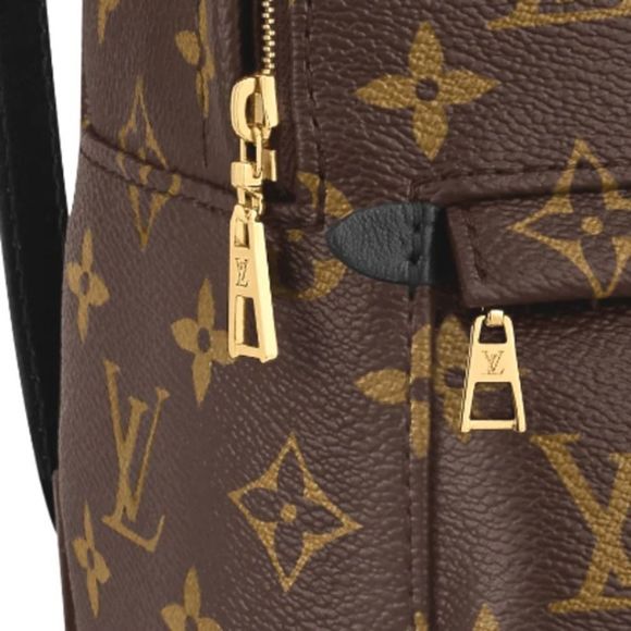 Louis Vuitton Backpack Daypack Monogram Palm Springs Mini - Picture 6 of 6